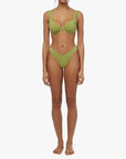 [Fern] - Model 